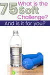 what is the 75 soft challenge