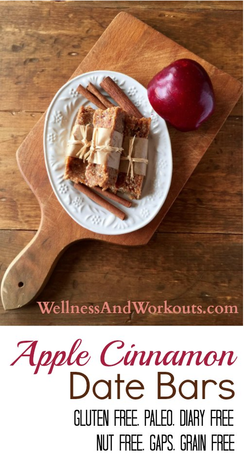 Homemade Apple Cinnamon Date Bars! This recipe is gluten free, dairy free, grain free and even nut free. Works on Paleo & GAPS Diet. Best of all, it is an easy, no-bake recipe. #cleaneating