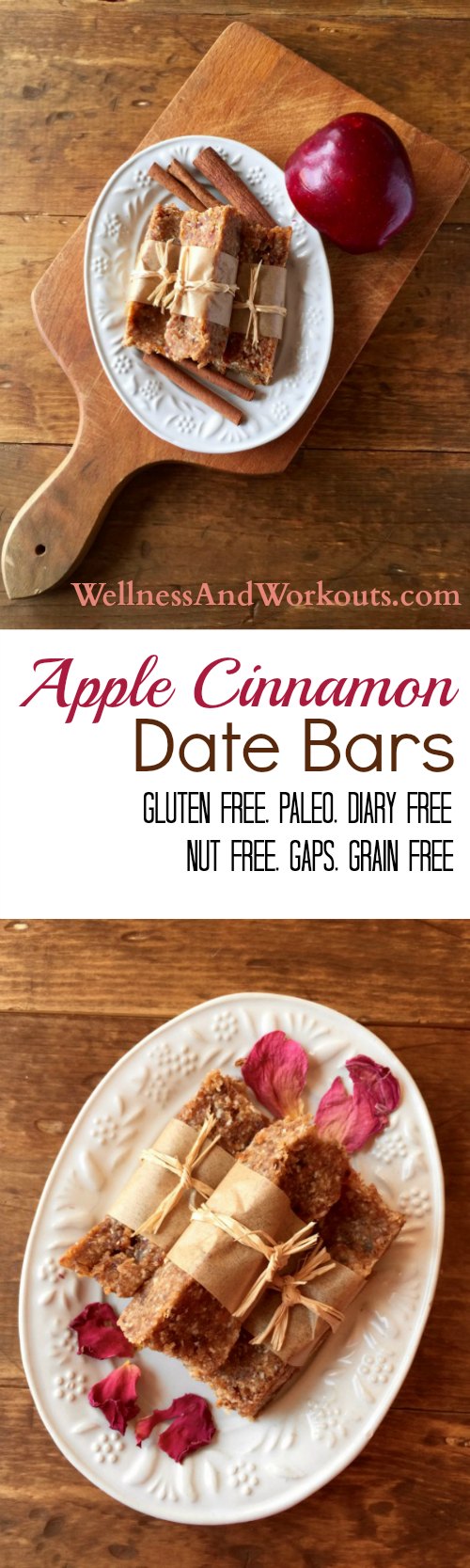 Homemade Apple Cinnamon Date Bars! This recipe is gluten free, dairy free, grain free and even nut free. Works on Paleo & GAPS Diet. Best of all, it is an easy, no-bake recipe. #cleaneating