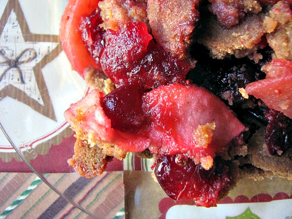 This Apple Cranberry Crumble is gluten free, paleo, dairy free and GAPS/SCD legal. It is sweetened with honey, and made with coconut flour and coconut oil. Best of all, it is delicious!