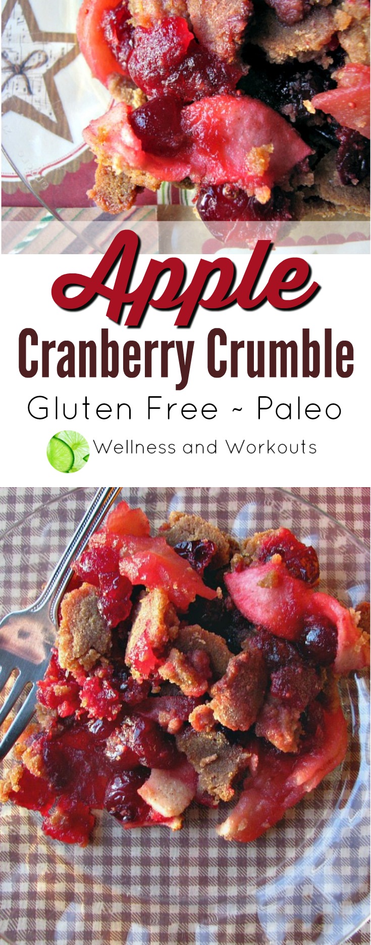 This Apple Cranberry Crumble is gluten free, paleo, dairy free and GAPS/SCD legal. It is sweetened with honey, and made with coconut flour and coconut oil. Best of all, it is delicious!