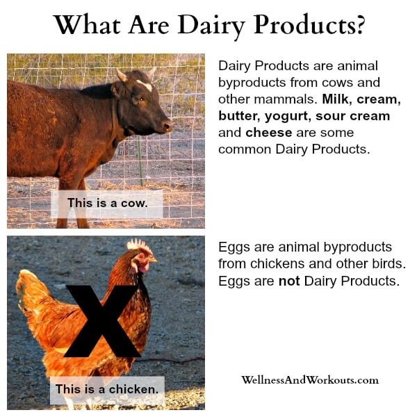 What Is Dairy Are Eggs Dairy