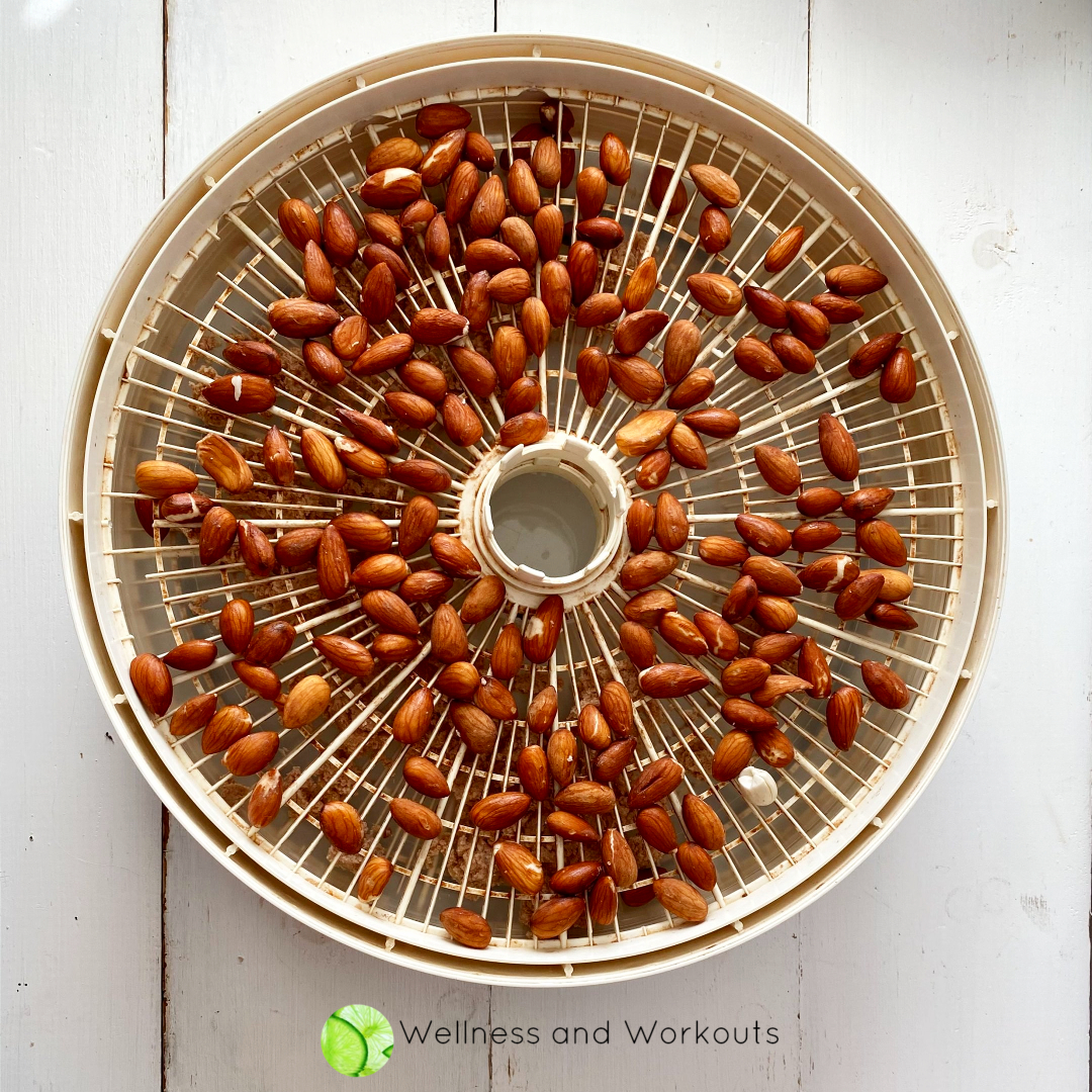 Soaked, raw, organic almonds on a Nesco food dehydrator tray.