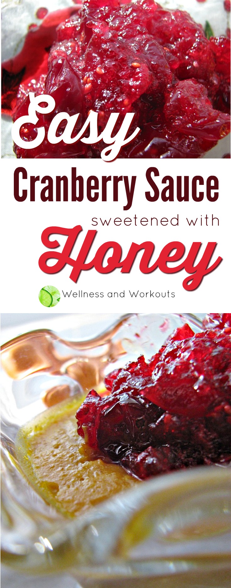 Easy Cranberry Sauce Recipe with Honey--GAPS Diet, SCD, Paleo/Primal