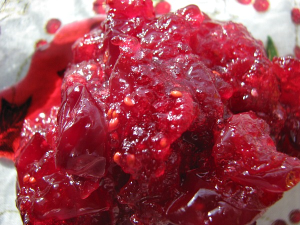 Easy Cranberry Sauce Recipe with Honey--GAPS Diet, SCD, Paleo/Primal