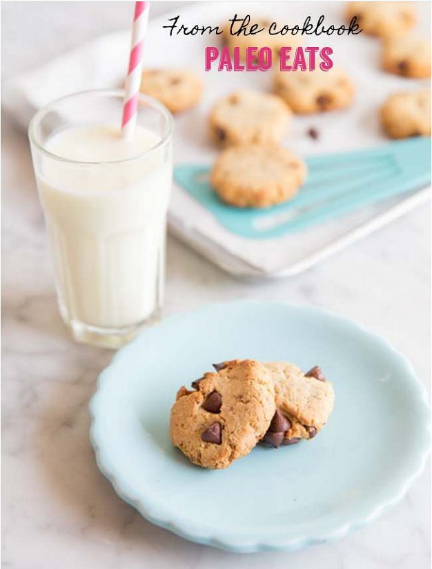 paleo chocolate chip cookie recipe, paleo snacks, paleo desserts