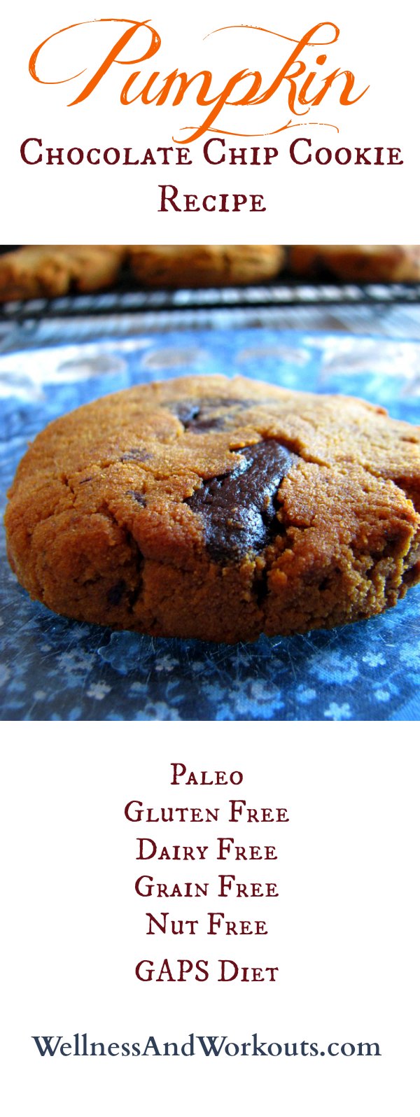 Healthy, soft, pumpkin chocolate chip cookie recipe with lots of coconut goodness! Gluten free, Paleo, Grain Free, Dairy Free, GAPS Diet & Nut Free. DELICIOUS! #paleo #healthyrecipe #glutenfree