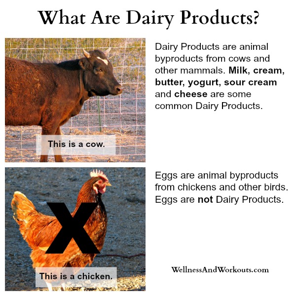What is Dairy? Are Eggs Dairy?